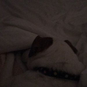 Meet your Posher, Jaime